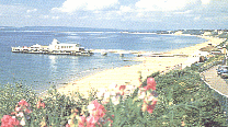 Beaches and pier from East Cliff, Bournemouth.